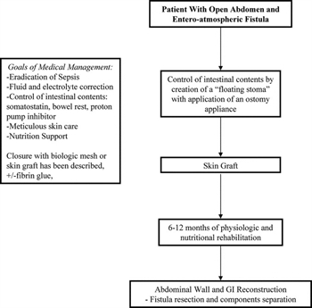 https://www.east.org/content/images/cms/open-abdomen-management-review-part-2-figure-2.jpg/image-full;size$350,345.ImageHandler